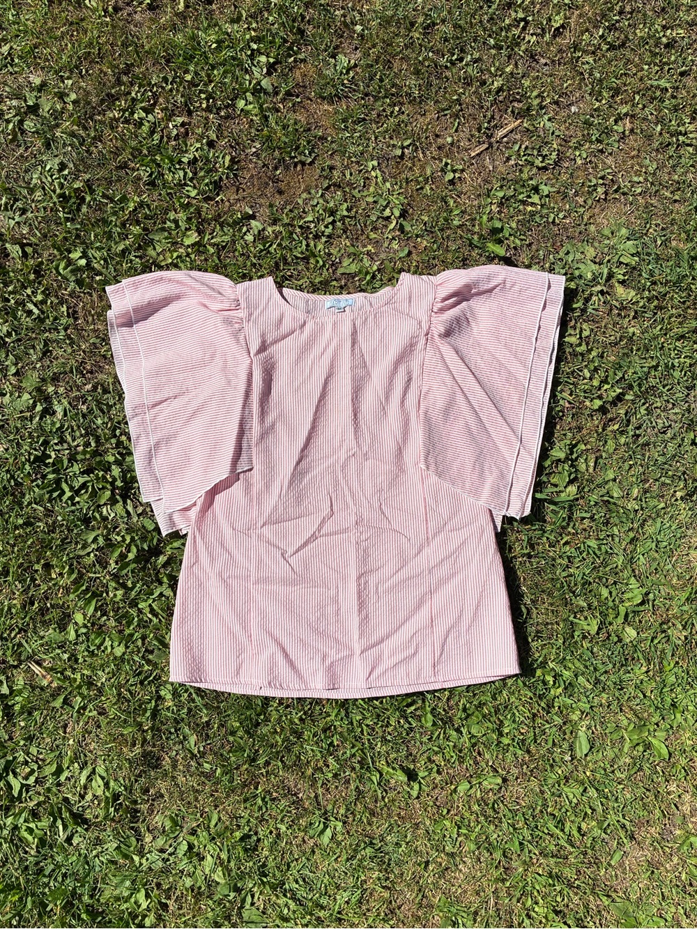 A Dip Darling Light Pink Flutter Sleeve Blouse
